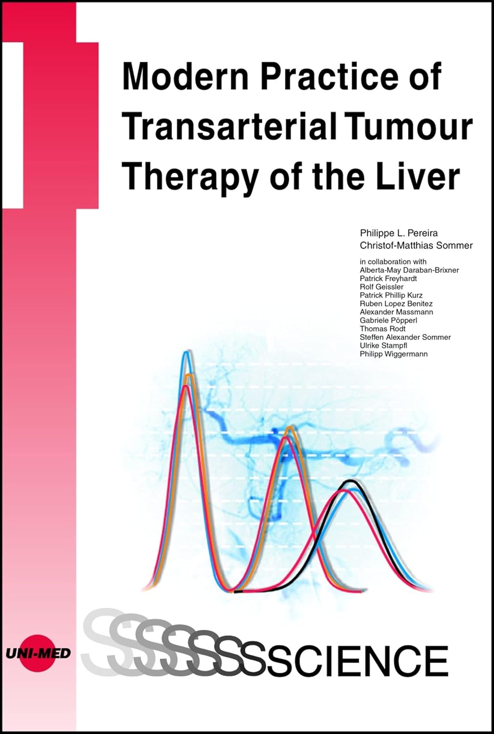 Modern Practice of Transarterial Tumour Therapy of the Liver