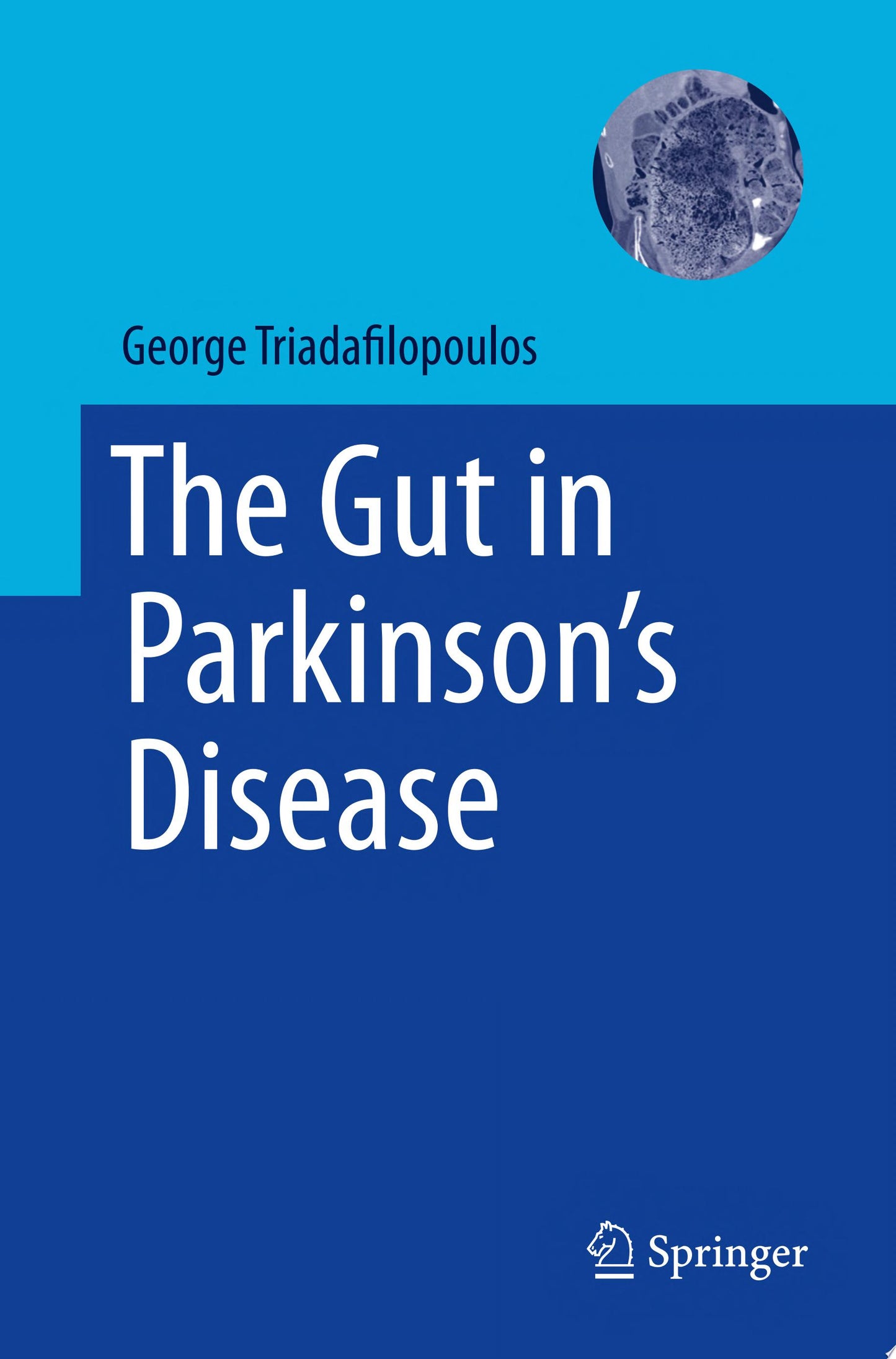 The Gut in Parkinson's Disease