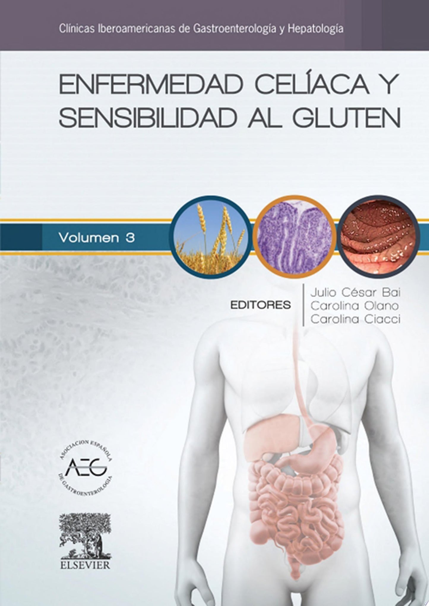 Enfermedad celiaca y sensibilidad al gluten: Clínicas Iberoamericanas de Gastroenterología y Hepatología Volume 3