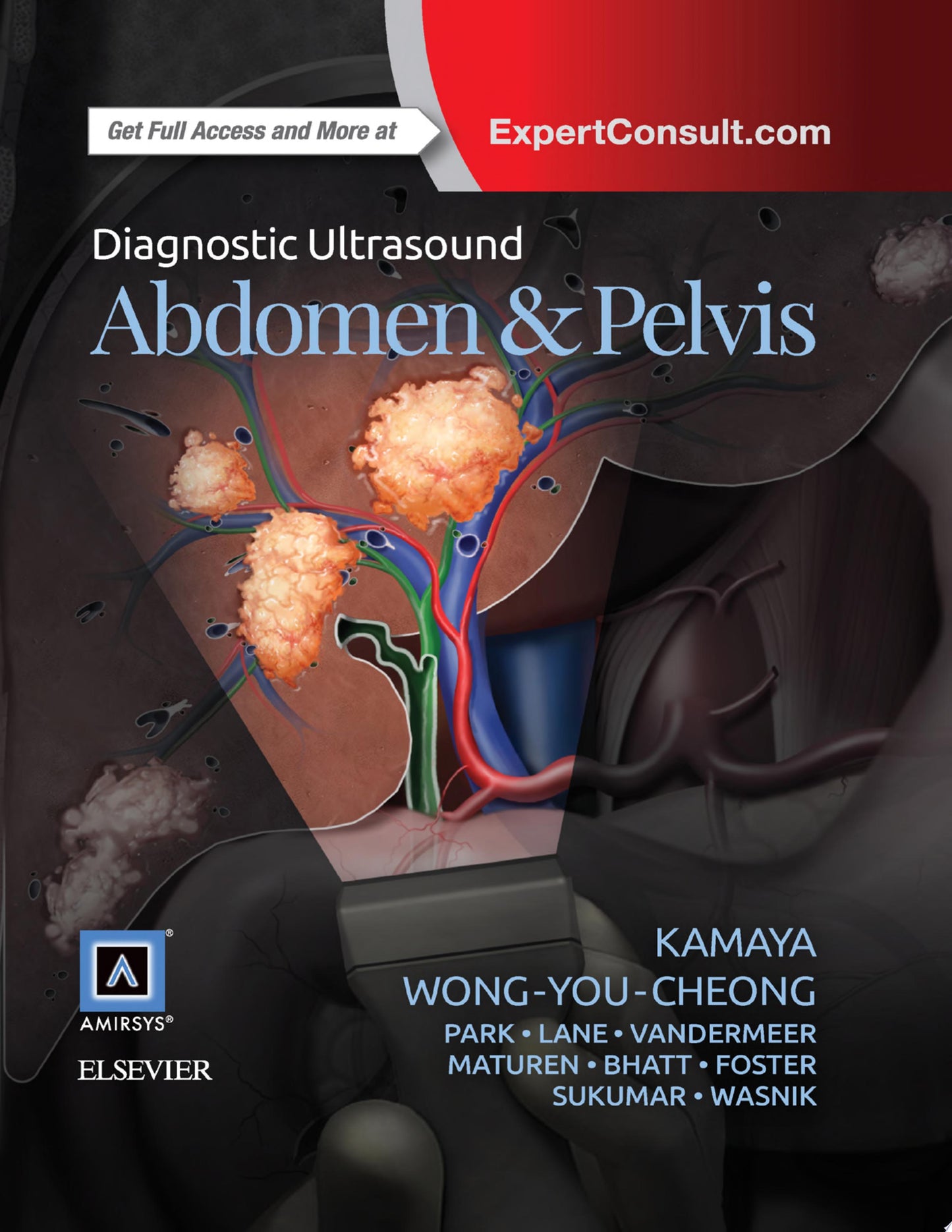 Diagnostic Ultrasound: Abdomen and Pelvis