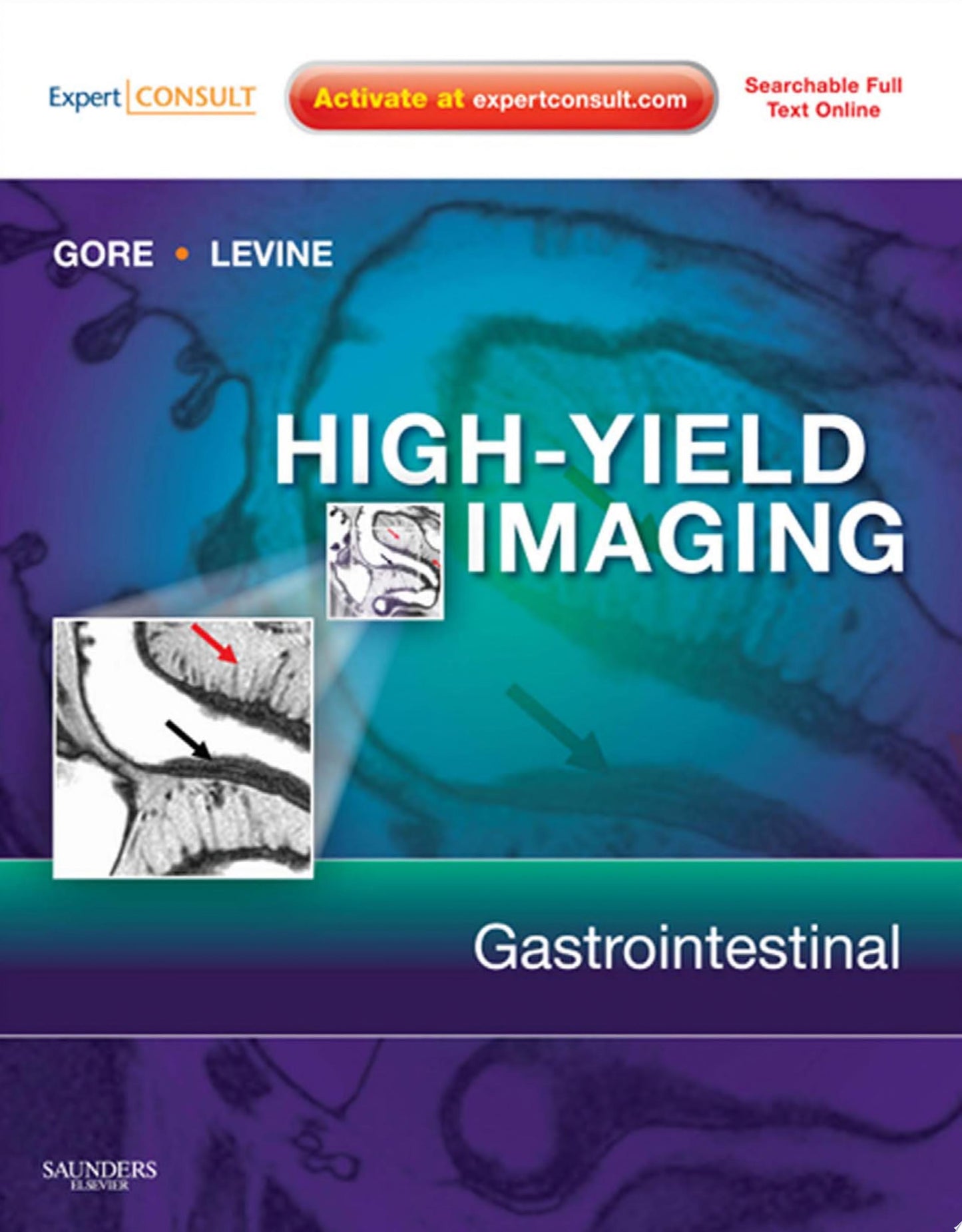 High Yield Imaging: Gastrointestinal